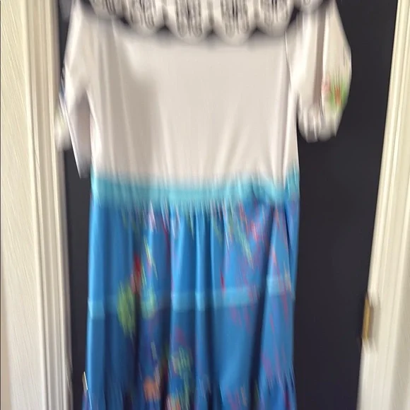 Adult encanto Maribel Floral Dress - White and Blue - Picture 6 of 8